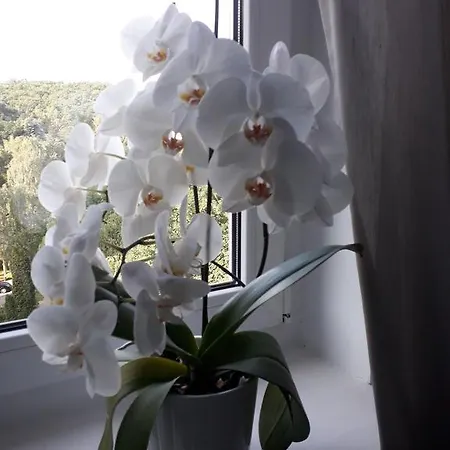 Апартаменты Apartament Marina *